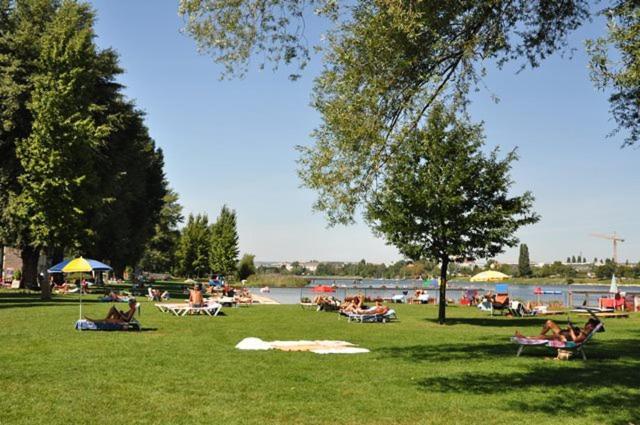 Schoenes Living Am Donauufer Vídeň Exteriér fotografie